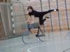 dscf4116_small.jpg
