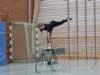dscf4247_small.jpg